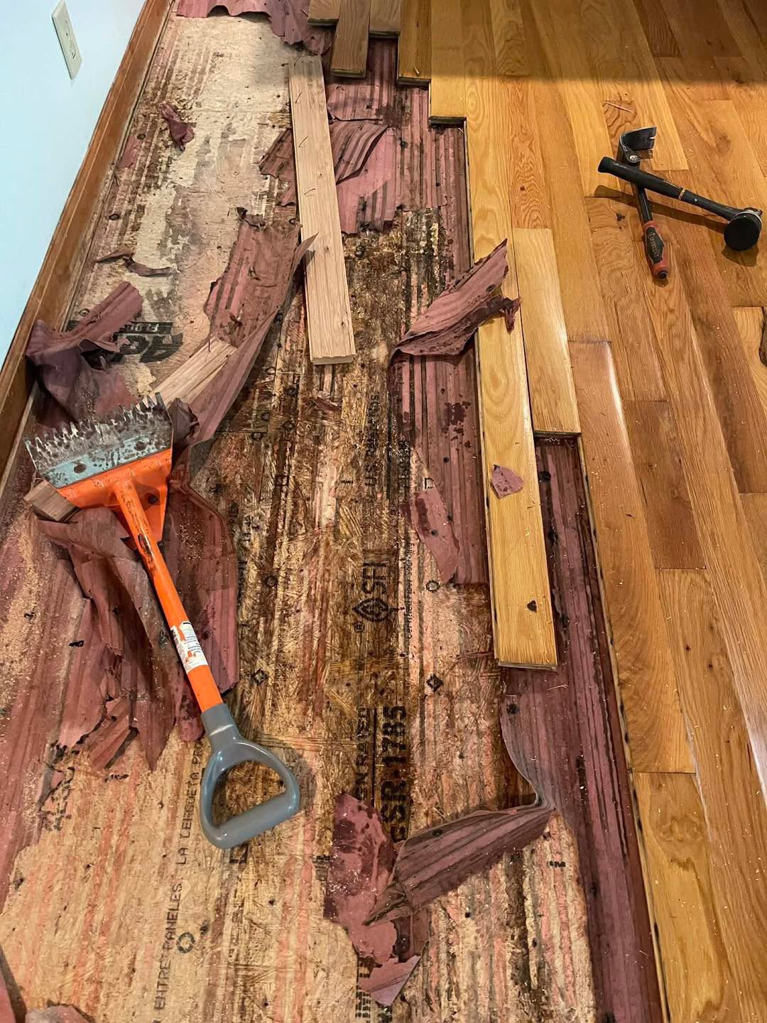 Floor tear-out with orange scraper tool and new boards